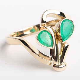 Curabitur cursus dignis