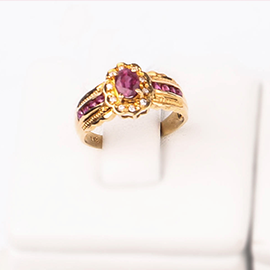 Curabitur cursus dignis