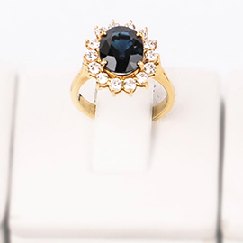 Curabitur cursus dignis