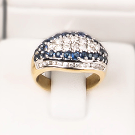 Curabitur cursus dignis