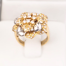 Curabitur cursus dignis