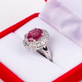 Curabitur cursus dignis