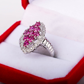 Curabitur cursus dignis