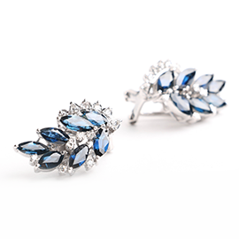 Curabitur cursus dignis