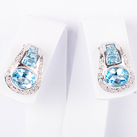 Curabitur cursus dignis