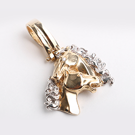 Curabitur cursus dignis