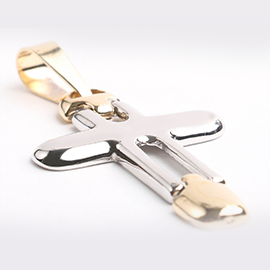 Curabitur cursus dignis