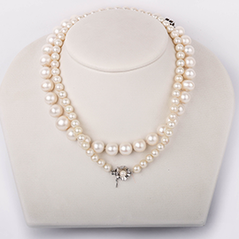 Curabitur cursus dignis