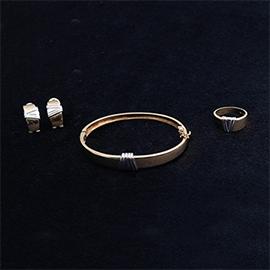 Curabitur cursus dignis