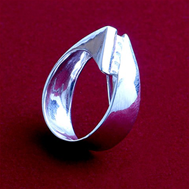 Curabitur cursus dignis