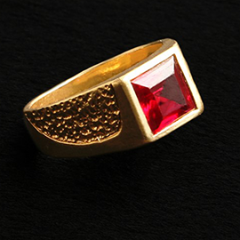 Curabitur cursus dignis