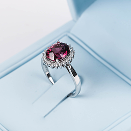 Curabitur cursus dignis