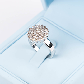 Curabitur cursus dignis