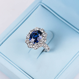 Curabitur cursus dignis