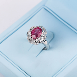 Curabitur cursus dignis