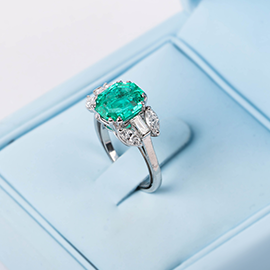 Curabitur cursus dignis