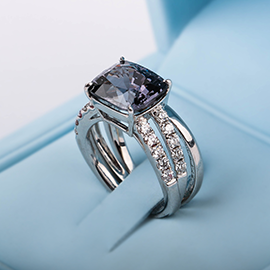 Curabitur cursus dignis