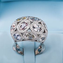 Curabitur cursus dignis