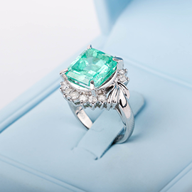 Curabitur cursus dignis