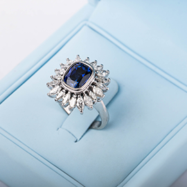 Curabitur cursus dignis