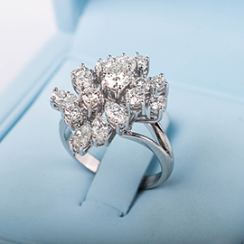 Curabitur cursus dignis