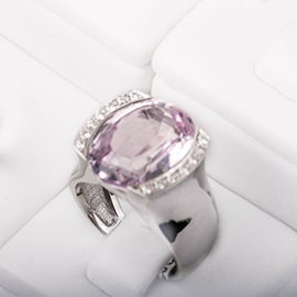 Curabitur cursus dignis