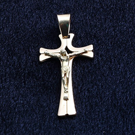 Curabitur cursus dignis