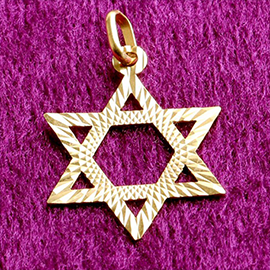 Curabitur cursus dignis